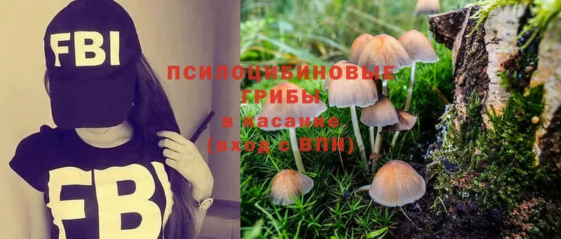 Псилоцибиновые грибы MAGIC MUSHROOMS  Ясногорск 