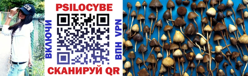 Галлюциногенные грибы прущие грибы  Ясногорск 